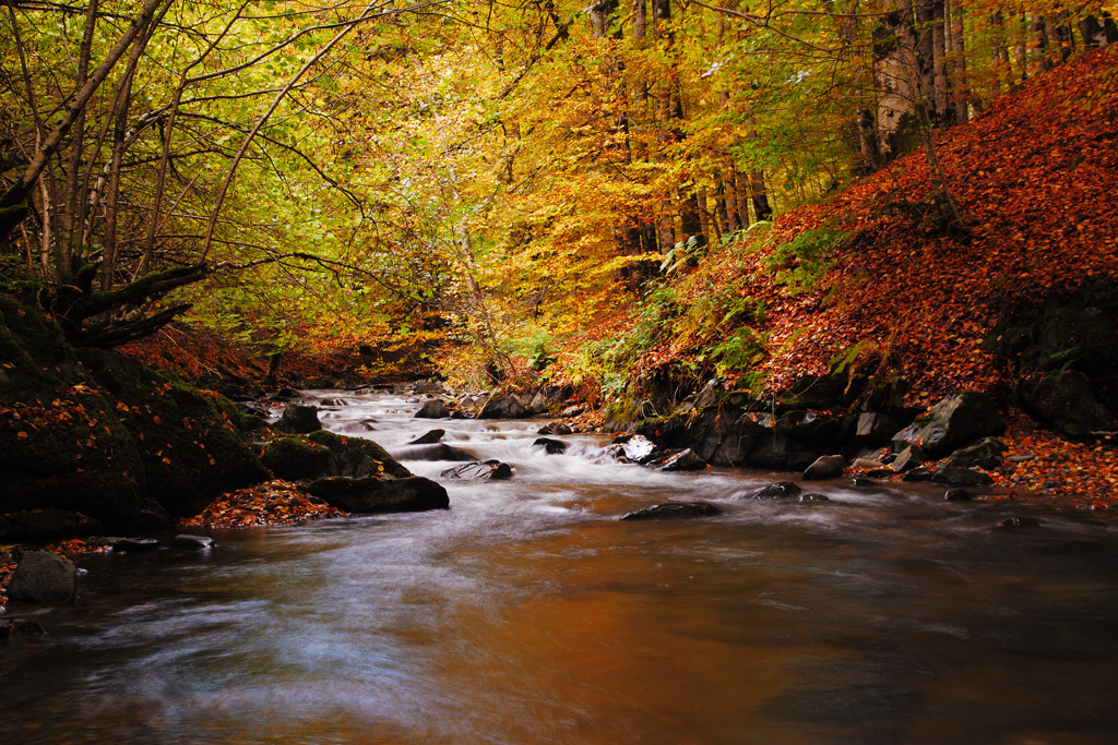 Fotografía Quinto Real, Navarra