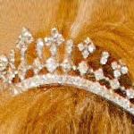 Artemisia's Royal Jewels: Netherlands