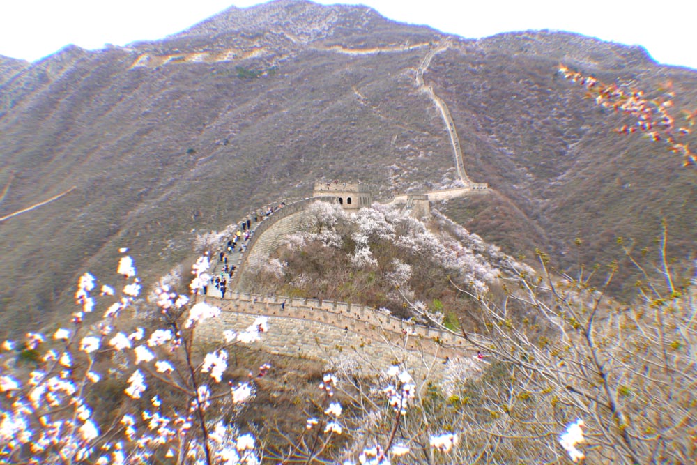 Traveling Simile Not Reach Great Wall Not Good Man Mao Zedong