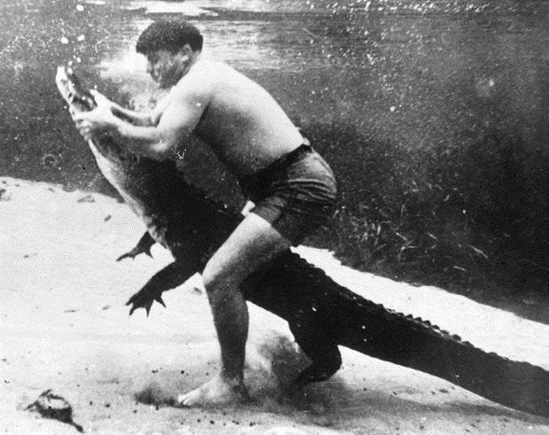 hamilton alabama circus female alligator wrestler