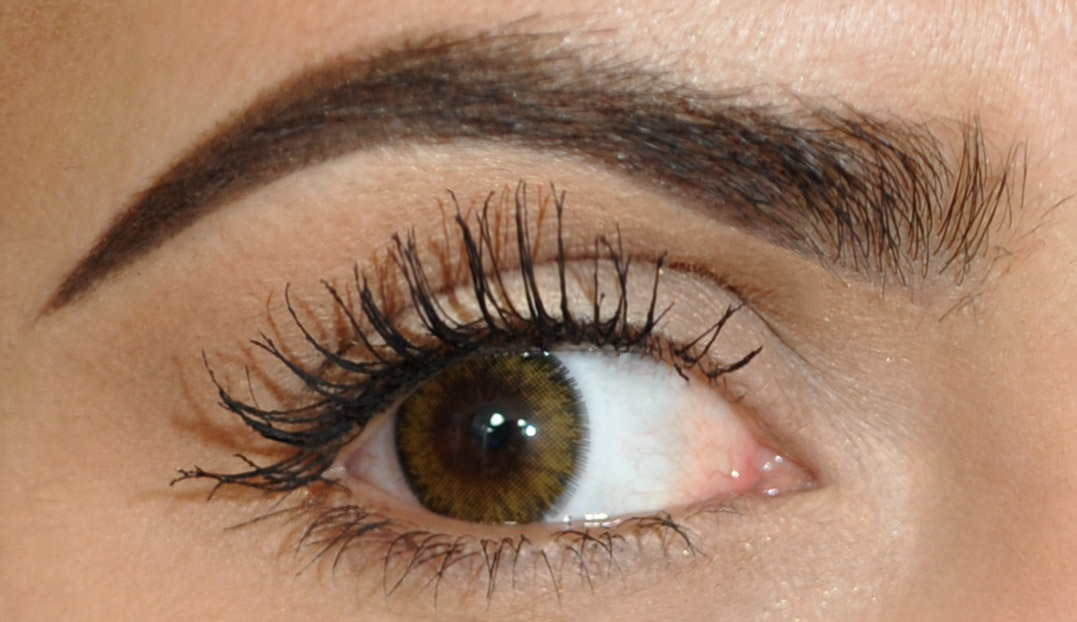 Contact...Adore Bi-tone Hazel Colored Contacts So in Gorgeous ]