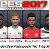PES 2017 Bundes Face Pack V9 by Shaft