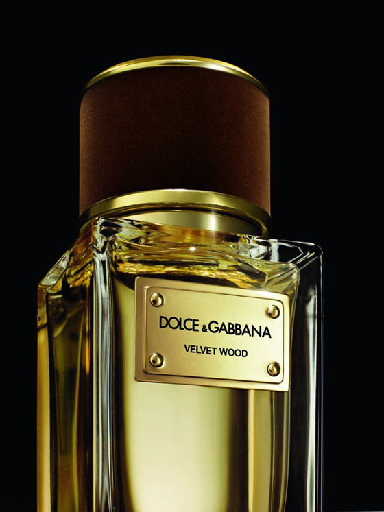 Disappear Here: Dolce & Gabbana Velvet Perfume Collection launched at ...