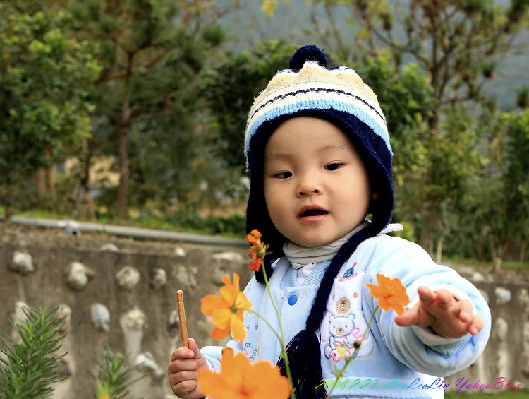 靜思精舍|花蓮新城佛教慈濟功德會