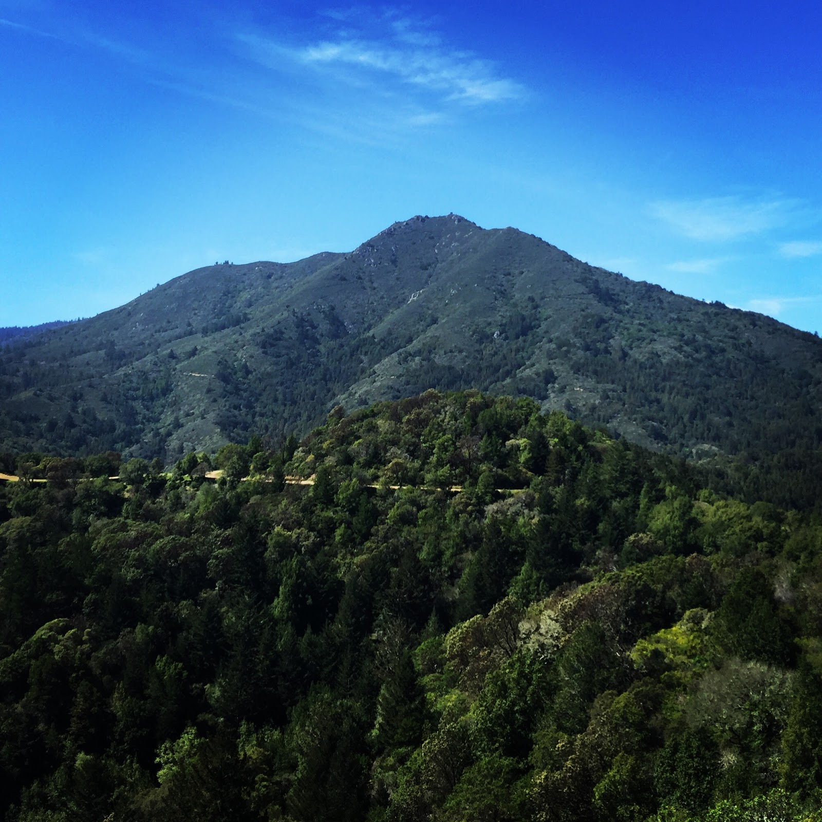 Outdoorsy Mama 4 Ways to Hike Mt Tamalpais Near San Francisco, California