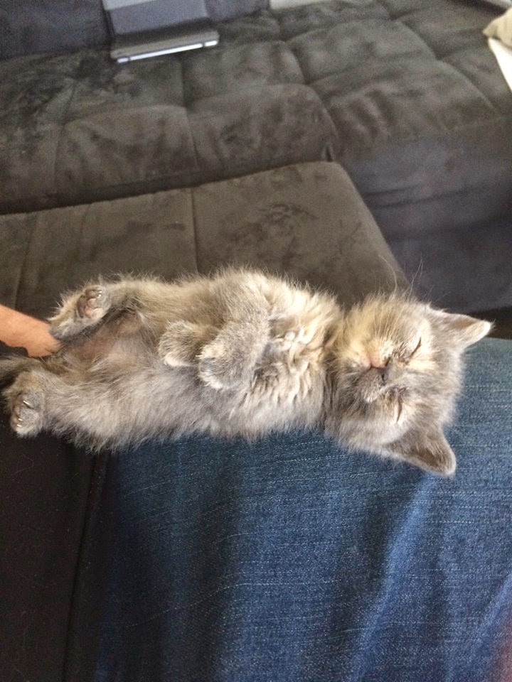 Tu Peux Pas Comprendre, T