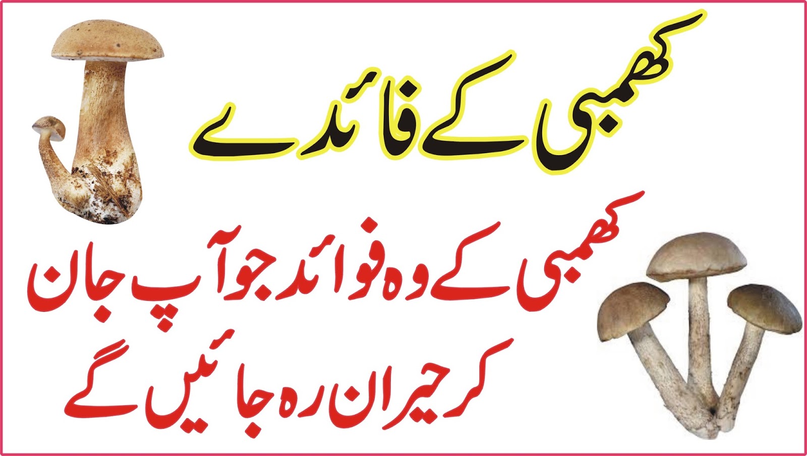 Khumbi ke Fayde Mushroom ke Fawaid Benefits of Mushroom in Urdu