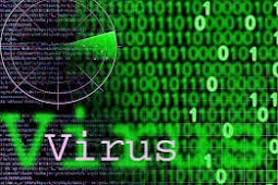 İnternetteki virüsler hakkında genel bilgiler , Virüsler Nedir?