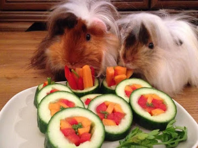 Guinea Pig treats