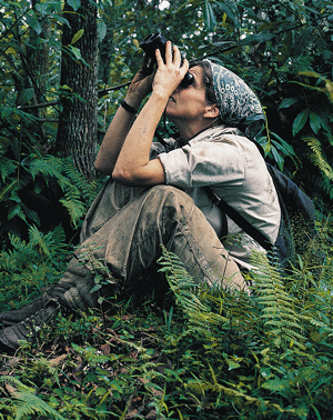 LOVELY WILDLIFE !!!!!!: WANT TO BE A WILDLIFE BIOLOGIST???