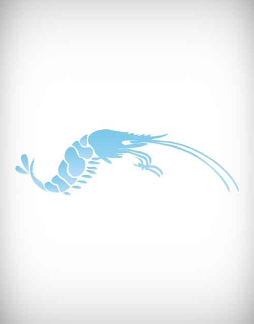 shrimp vector 5 - designway4u | designway4u