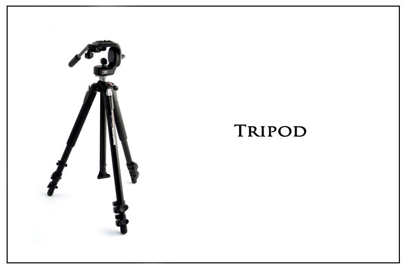 School Of Digital Photography Professional Technniques to Take Sharp