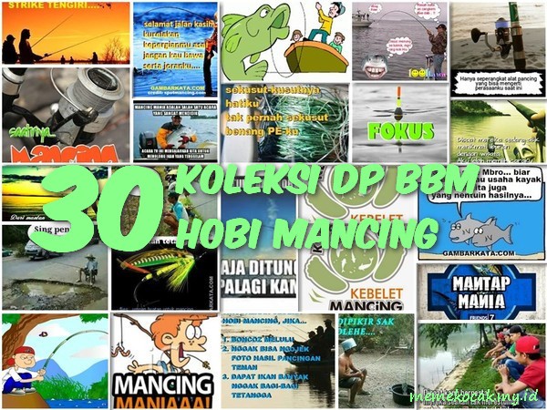 30 Koleksi Dp Bbm Hobi Mancing Meme Kocak Bikin Ngakak