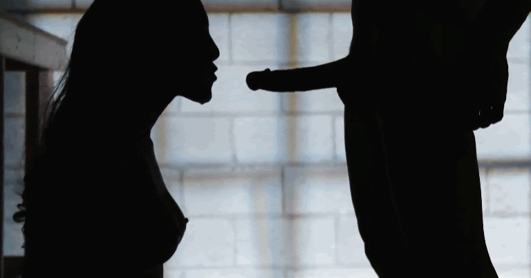 Blowjob Silhouette - Sex Porn Gifs: silhouette blowjob