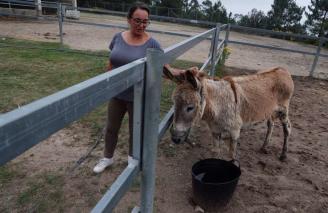 Margarita busca un hogar