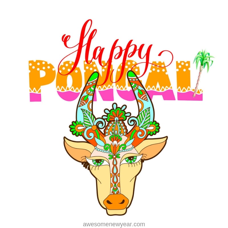 Happy Pongal Images