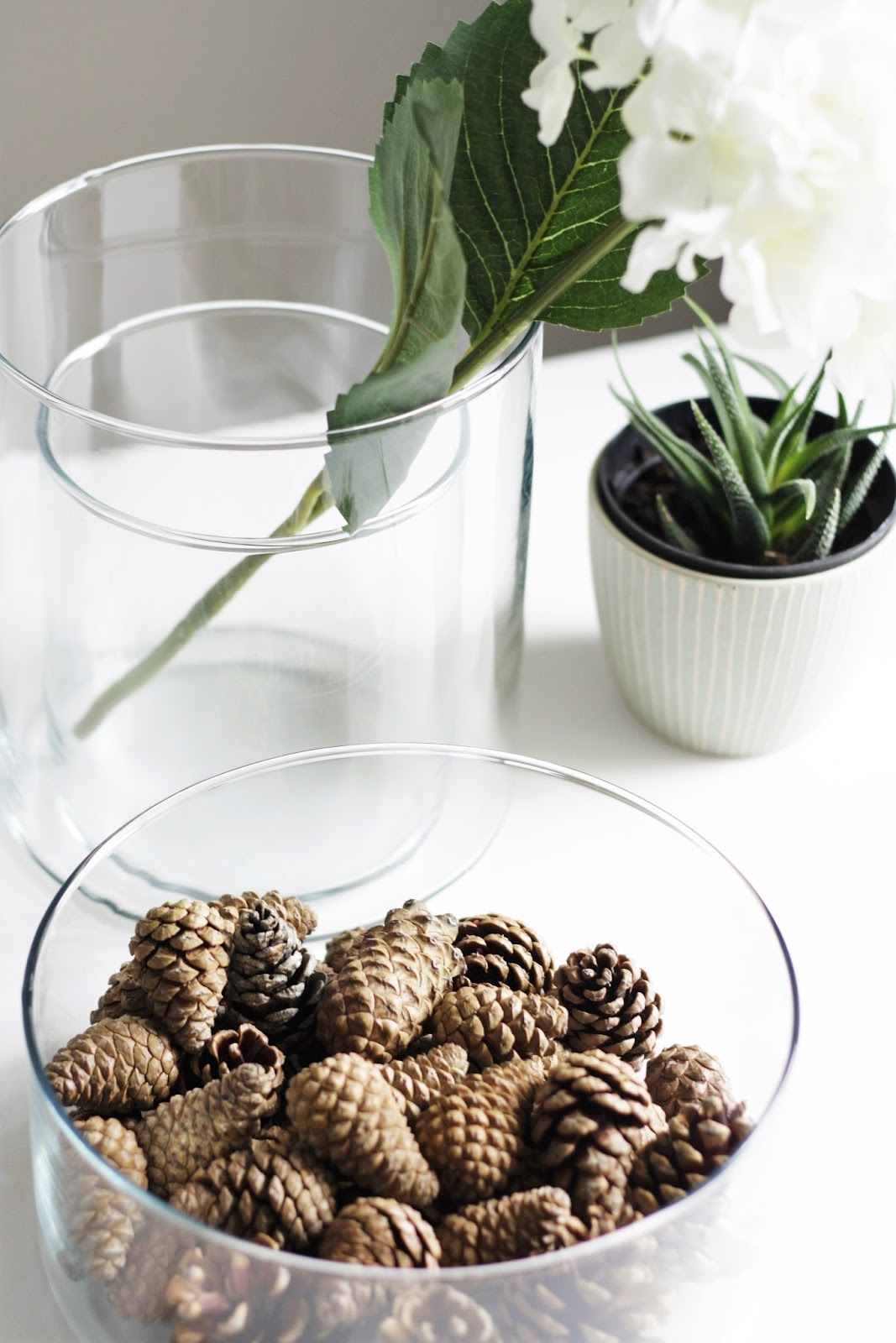 Best Budget Buy Cylinder Vase/Bowl. STYLE SPACE AND STUFF