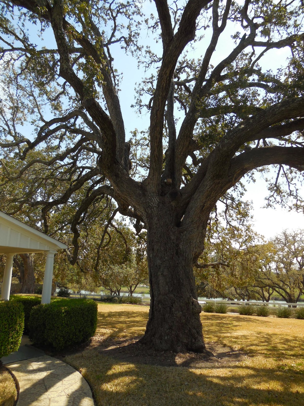 Wanderings of the old sloat: March 2014