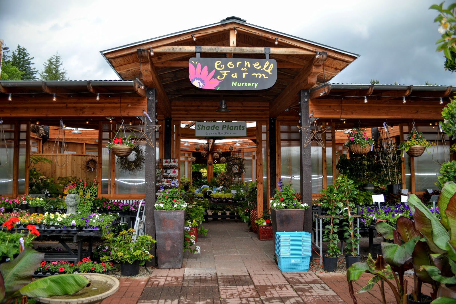 The Outlaw Gardener Cornell Farm Nursery