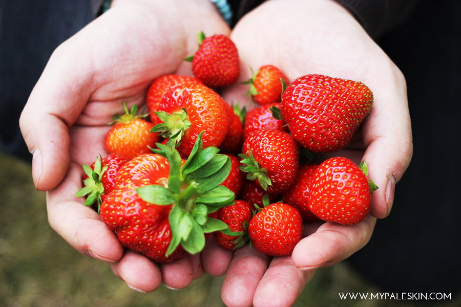 Farm, Pick your own, Strawberries, My Pale Skin Blog, Parkside Farm, London