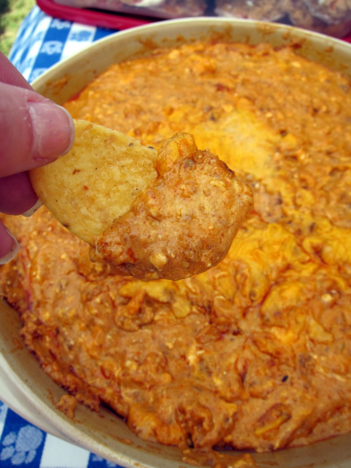 Chili Cheese Dip Plain Chicken chili-cheese-dip-plain-chicken