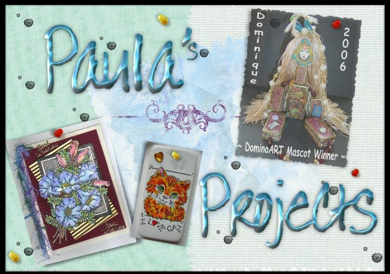 Paula S-M Projects