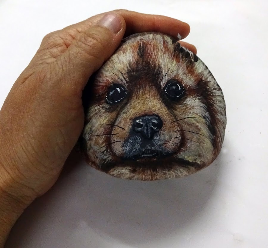 COMO PINTAR COMO PINTAR PIEDRAS CON RAZA POMERANIA PASO A PASO #pintarpiedras