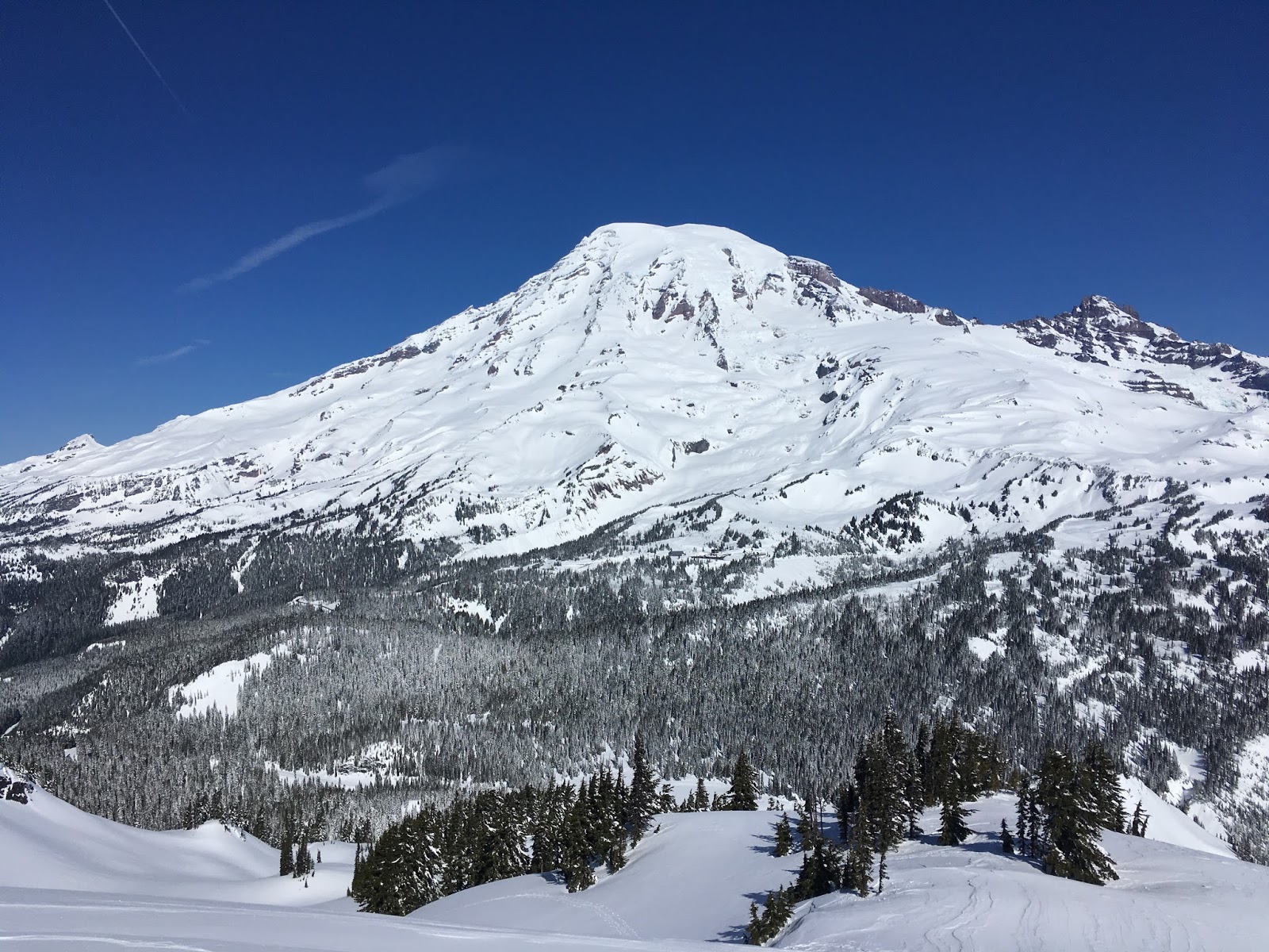 Mount Rainier Climbing March Madness