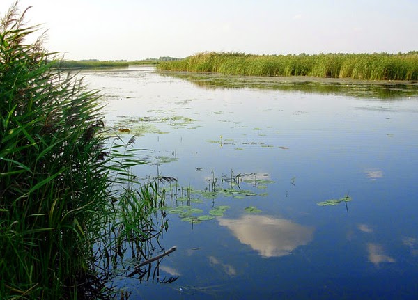 Рыбалка в дельте Днепра