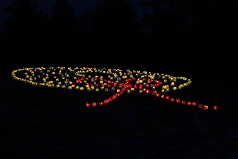 Michigan Exposures Hidden Lake Gardens Holiday Lights