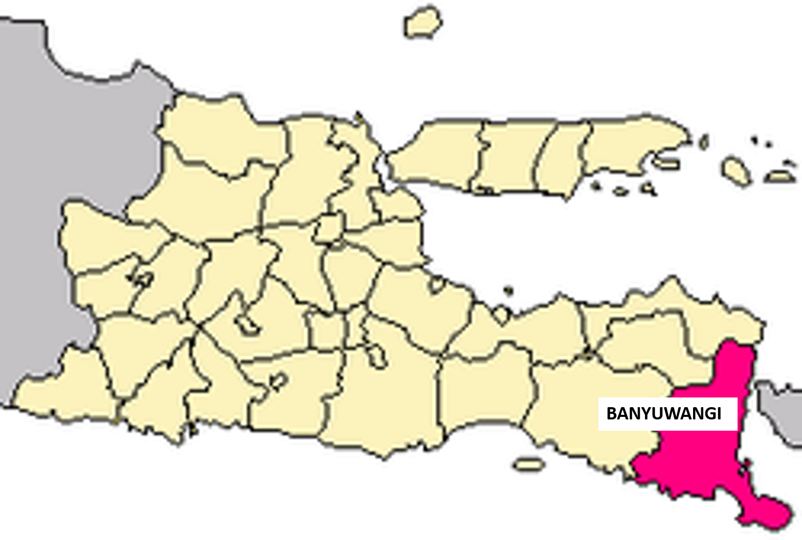 peta kabupaten banyuwangi