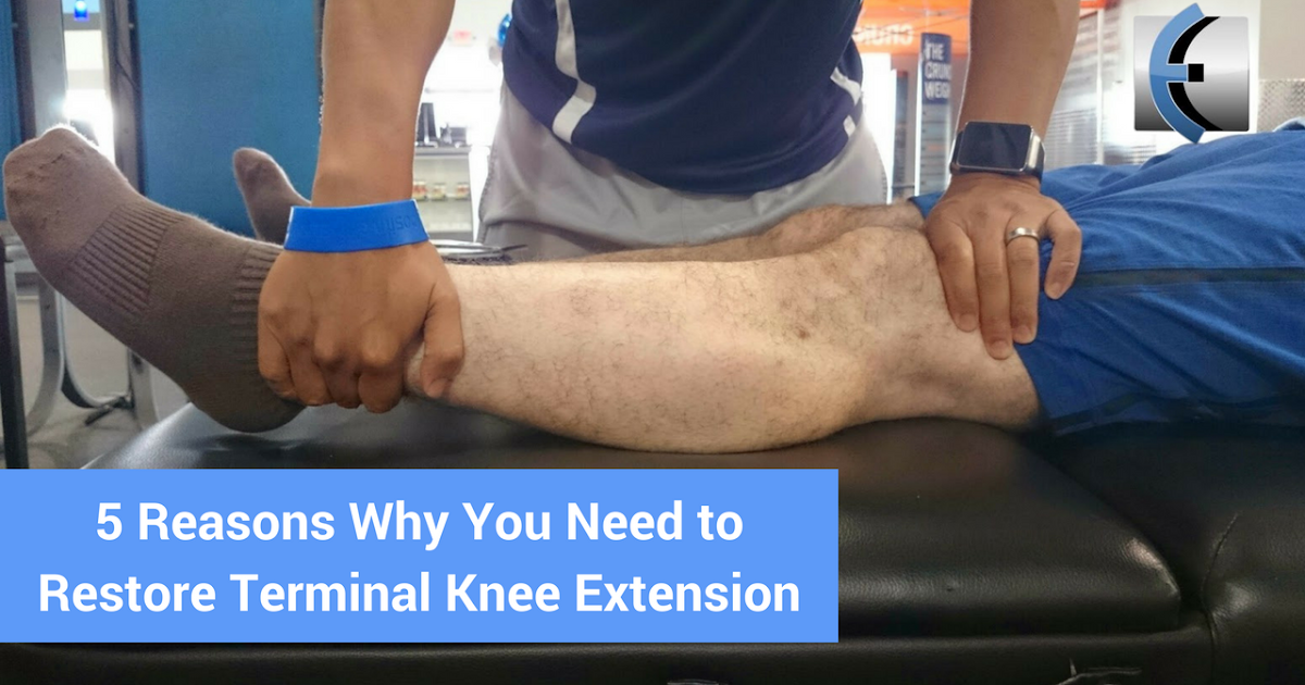 5 Reasons Why You Need To Restore Terminal Knee Extension | Modern Manual  Therapy Blog - Manual Therapy, Videos, Neurodynamics, Podcasts, Research  Reviews