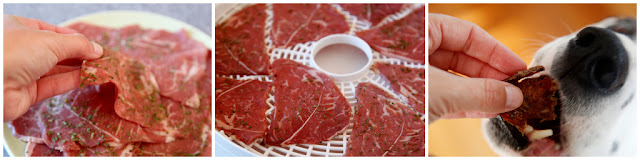Making homemade beef jerky sizzle steak dog treats with dehydrator