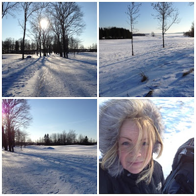 ingen+h%C3%B6jdarpromenad - Ingen höjdarpromenad