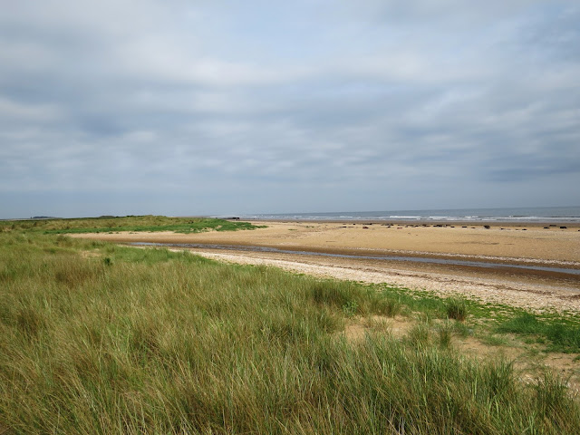 Titchwell RSPB, Norfolk