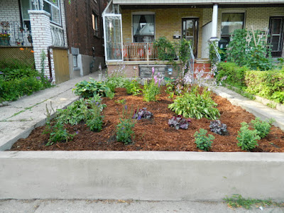 Garden clean up Bloordale after Paul Jung Gardening Services Toronto