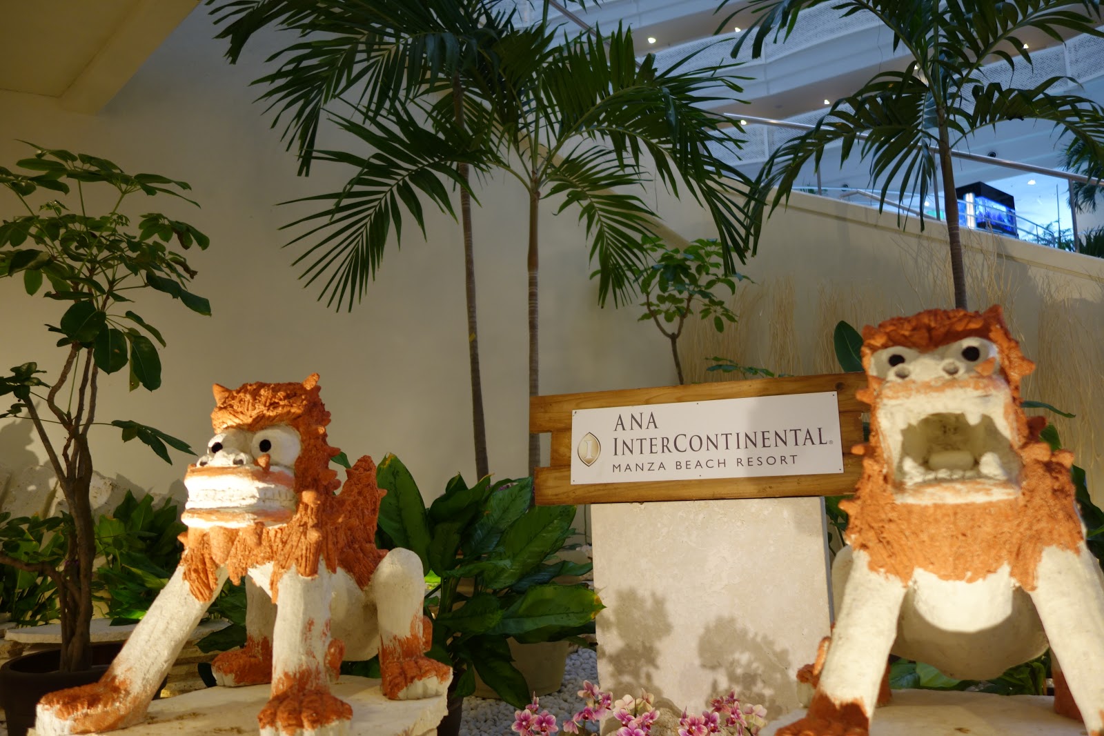 Asian Flier アジアン フライヤー 宿泊記 Anaインターコンチネンタル万座ビーチリゾート クラブインターコンチネンタルルーム 部屋 景色 19年2月 Anaインターコンチネンタル万座ビーチリゾートでウェディング 旅行記 Day2 2