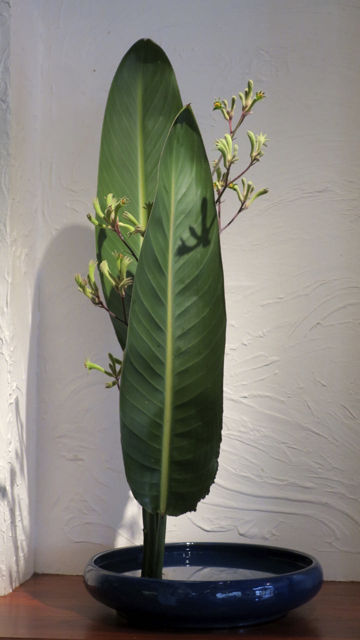ROADSIDE IKEBANA IKEBANA at HOME in TORQUAY