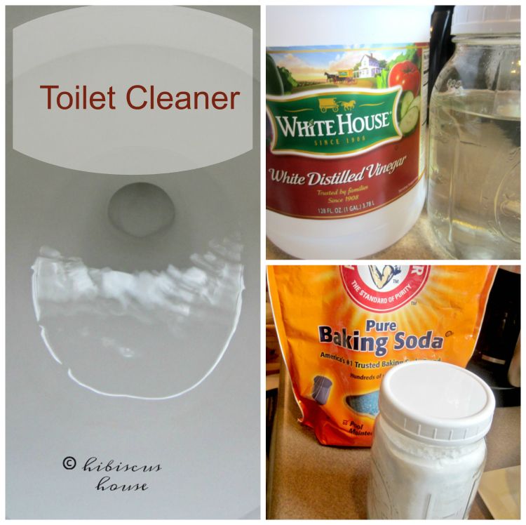 Hibiscus House Toilet Cleaner Only Two Ingredients!
