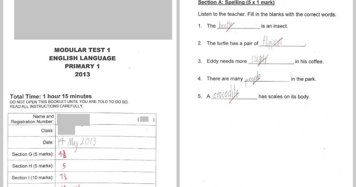 Starting Primary One #18 - Term 2 Modular Test & Report Book ~ We are ...
