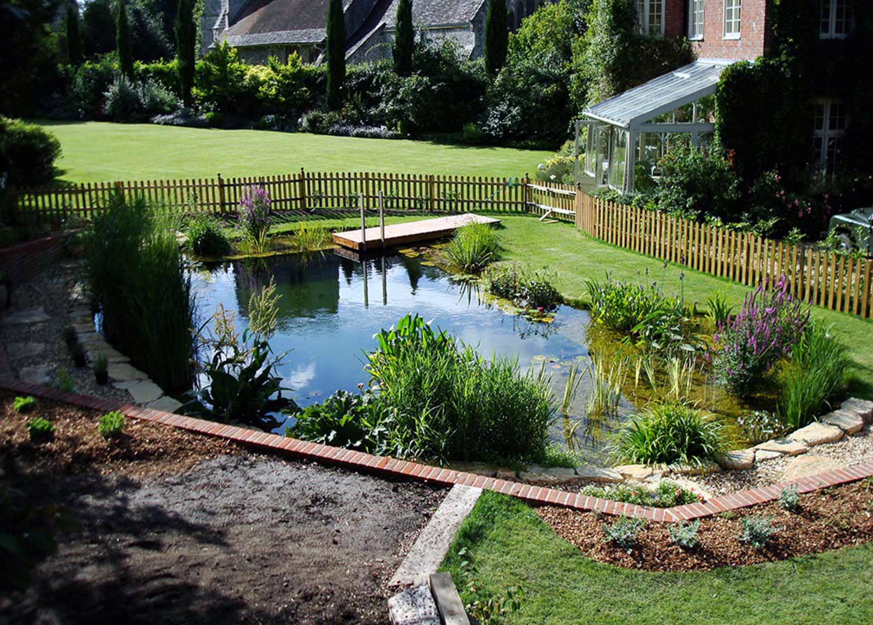 Landscaping Backyard With Eco Pool