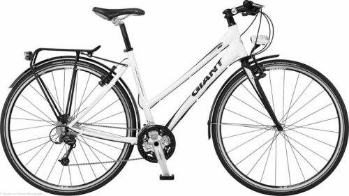 ميت تقريبا جوزيف بانكس مظللة hybride fietsen giant - forfish.net