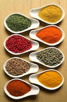 SPICES OF INDIAN CUISINE
