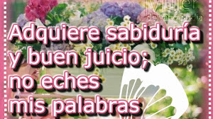 Adquiere sabiduría y buen juicio; no eches mis palabras al olvido