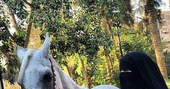 Gib Das Reiten Niemals Auf 1 Gib Das Reiten Niemals Auf 1