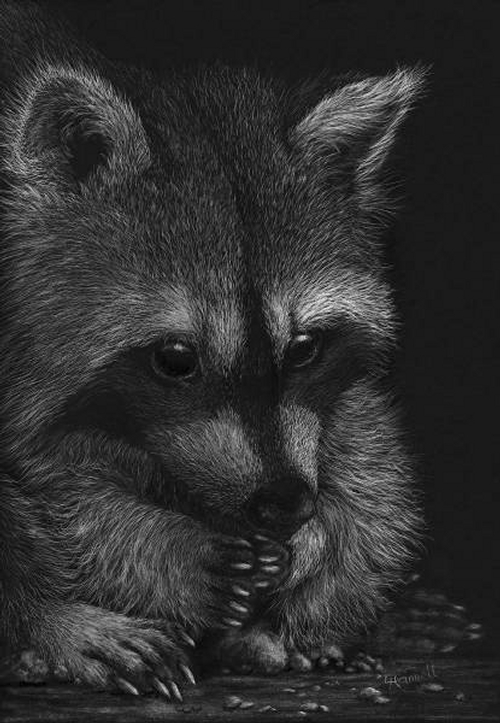 Design Stack A Blog about Art, Design and Architecture Animal