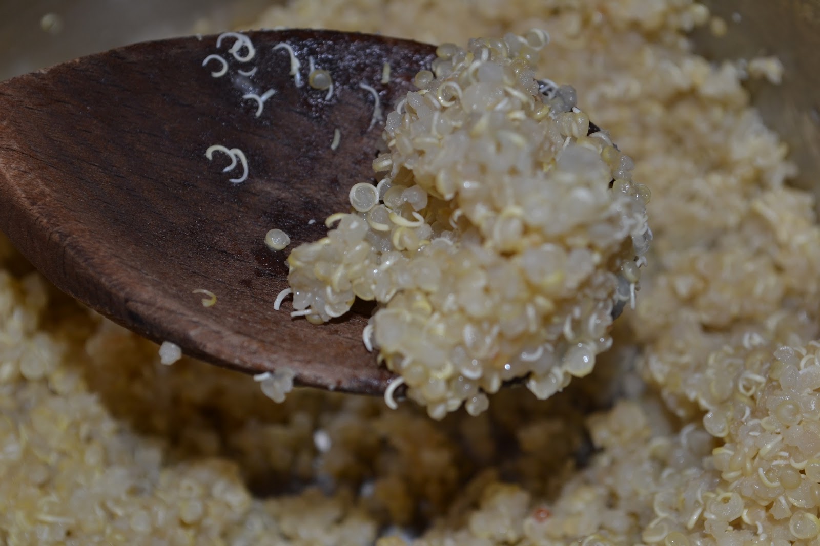 Southern Accents Quinoa with Chicken and Fresh Avocado and Tomato