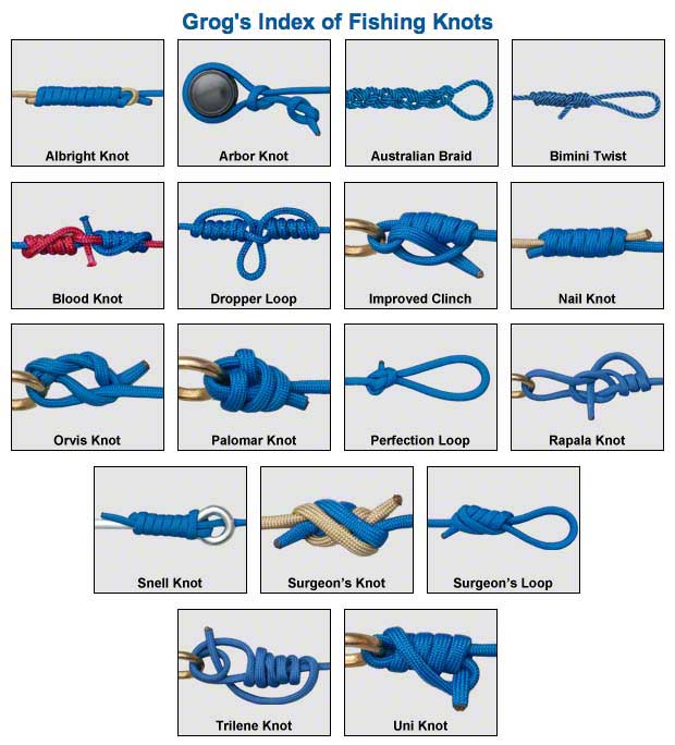 Survival Basics and How To Survive Knots That Will Increase Your