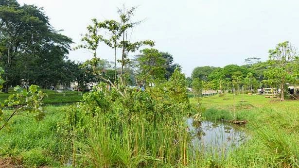 Interesting Green: Springleaf Nature Park: First of four new parks near ...