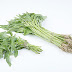 Keajaiban Kangkung Basmi Kolestrol Jahat